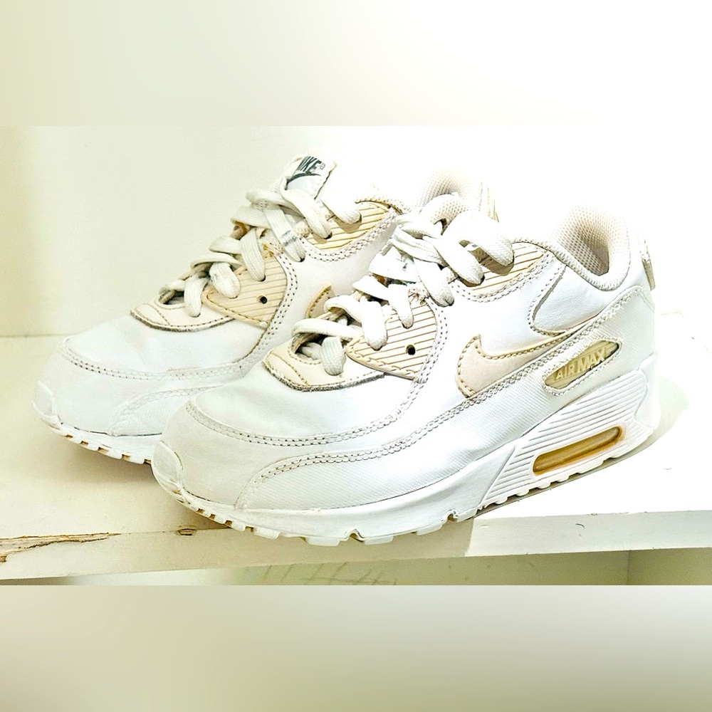 Air max 90 2Y size